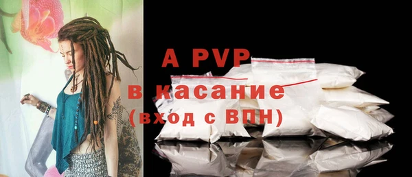сатива Пестово