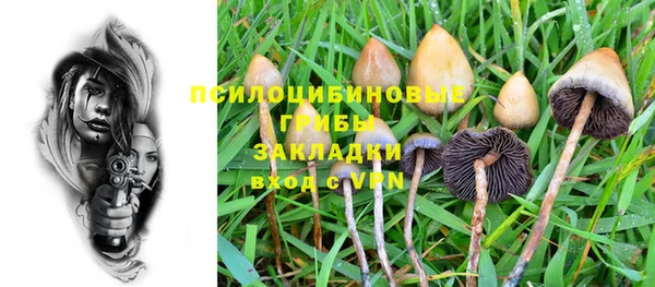 дживик Балабаново