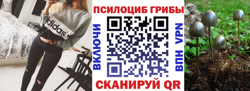 Галлюциногенные грибы прущие грибы  наркошоп  Новый Оскол 