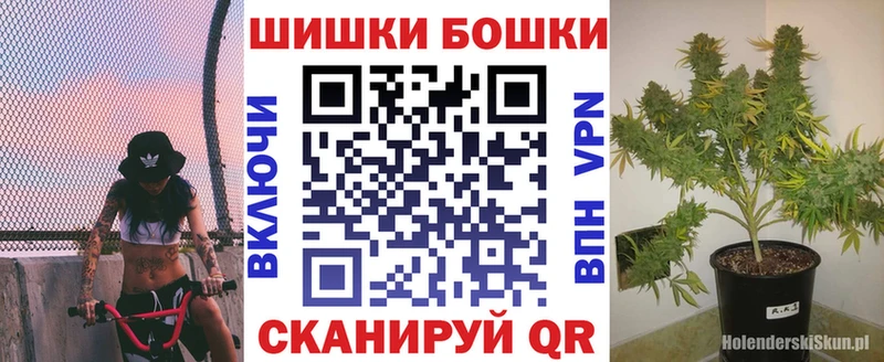 где продают   Новый Оскол  Конопля индика 